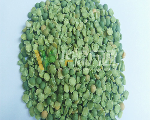 <a href=http://m.5dcampus.cn/product/8/ target=_blank class=infotextkey>豌豆脫皮機(jī)</a>